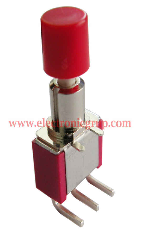 3P. PUSH SWITCH  ON-(ON) ,120V 3A (250V 1A) (SDPT)