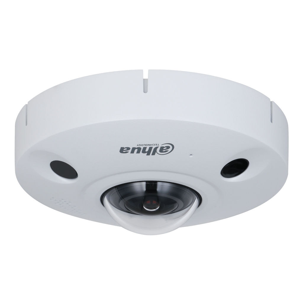 FishEye IP Panamorph H.265 12M DN IR10m 1.29mm IR10m IK10m IP67 Audio SD PoE MIC I/O AI