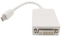 Ver informacion sobre Mini DisplayPort MASCLE - DVI FEMELLA, 0,2m