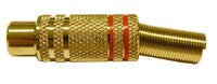 Ver informacion sobre RCA PHONO JACK GOLD PLATED, CABLE 5-6mm, RED STRIPES