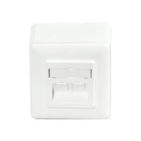 Carátula frontal de 2 keystone para caja de superficie 80x80mm | No incluye caja de superficie