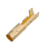 Ver informacion sobre Terminal Hembra Bullet Ø3mm 9A [100u. Bulk] 