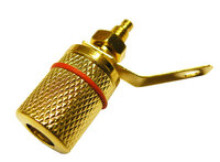 Ver informacion sobre BANANA HEMBRA CHASIS, METAL DORADO, LINEA ROJA