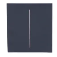 Ajax LightSwitch CenterButton 2-gang. Plusador Central Doble. Color Grafito