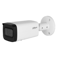 Ver informacion sobre Tubular IP H265 4M WDR Starlight IR60m 2.7-13.5VFM IP67 PoE SD MIC AI