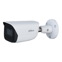 Ver informacion sobre Tubular IP H265 4M DN WDR Starlight IVS SMD IR50m 3.6mm IP67 PoE SD MIC AI