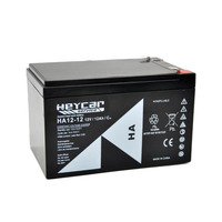 Ver informacion sobre Batería 12V 12Ah HeyCar HC 151x98x95/101 (L x W x H)