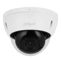 Dome IP H.265 2M DN WDR Starlight IR30m 3.6mm IK10 IP67 PoE SD AI