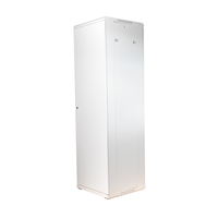 Armario rack de suelo 42U Profundidad: 600 Altura: 2000mm | Ancho: 600mm | Sin Accesorios | Blanco