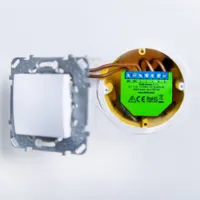 Shelly Dimmer 2 - WiFi 2.4 GHz IEEE802.11 b/g/n 
